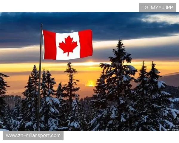 加拿大面临多线挑战，小组难度评价总体偏高——企业如何在复杂环境中稳定前行