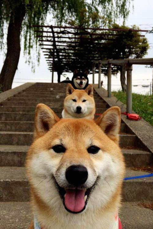 中国三人篮球男队强化快攻训练 提升比赛节奏,男子三人篮球中国队队员