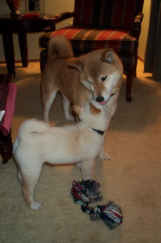 史密斯决赛精彩瞬间成为焦点，史密斯决赛精彩瞬间成为焦点了吗